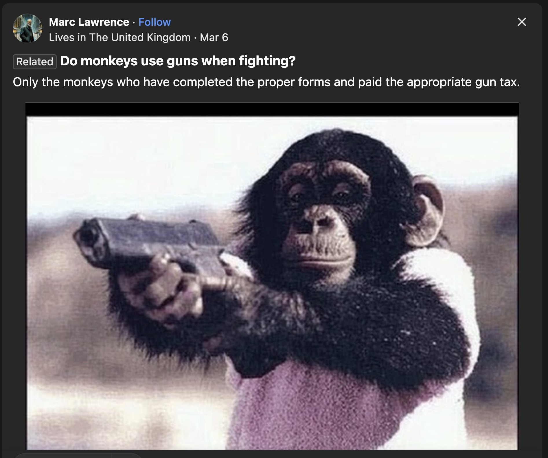 apes with guns - Marc Lawrence Lives in The United Kingdom Mar 6 Related Do monkeys use guns when fighting? Only the monkeys who have completed the proper forms and paid the appropriate gun tax.